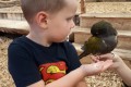Wizyta w papugarni